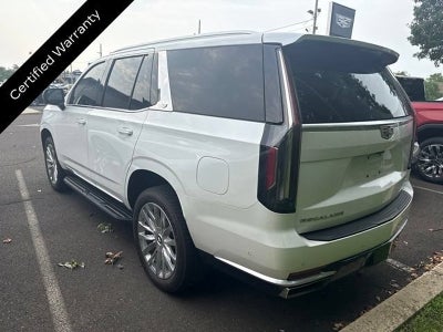 2023 Cadillac Escalade 4WD Premium Luxury