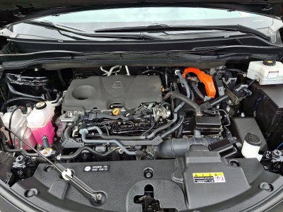 2023 Toyota Sienna Woodland Edition AWD 7-Passenger (Natl)