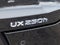 2021 Lexus UX 250h AWD