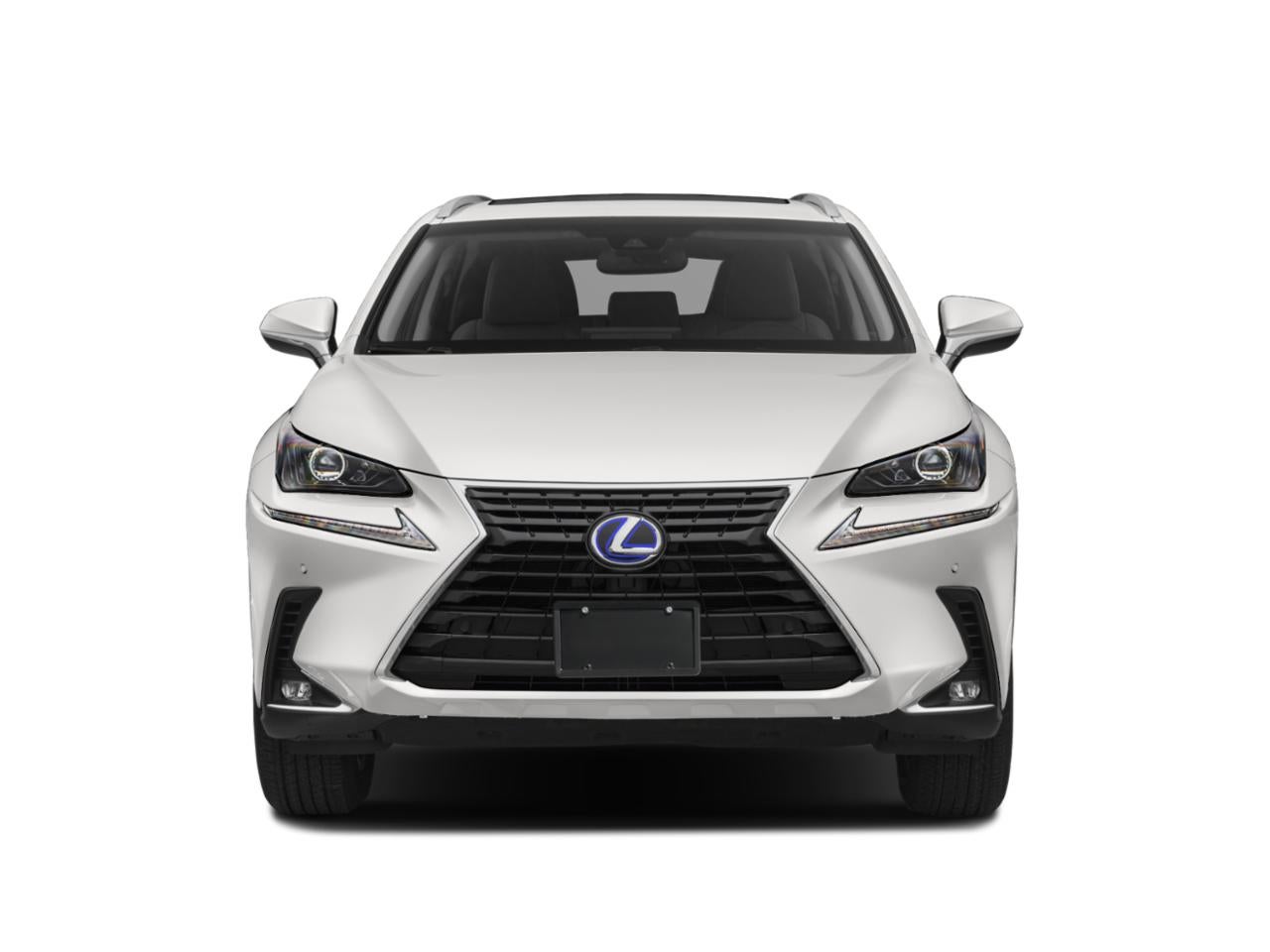2019 Lexus NX 300h AWD