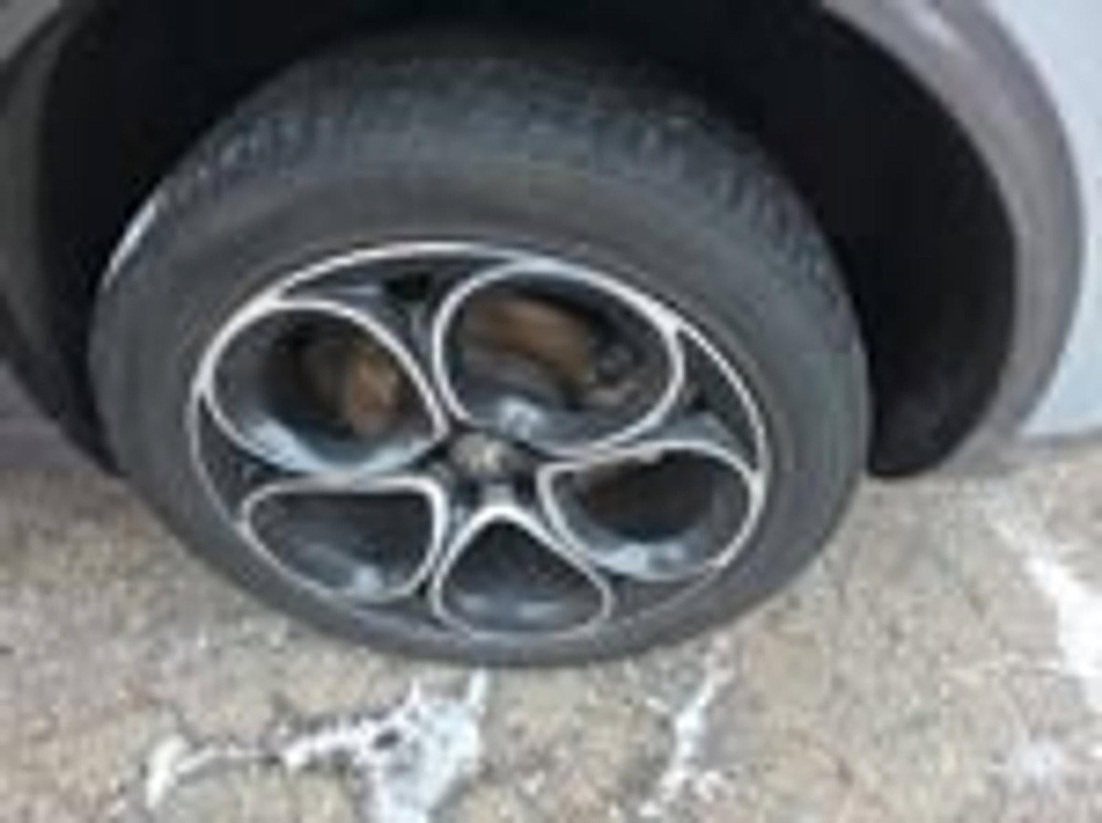 2024 Alfa Romeo Stelvio Ti AWD