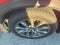 2018 Mazda Mazda CX-9 Grand Touring AWD