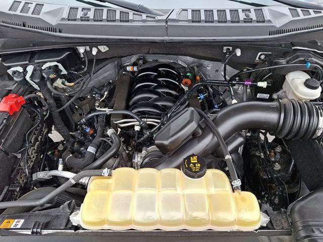 2020 Ford F-150 XL 4WD SuperCab 6.5' Box